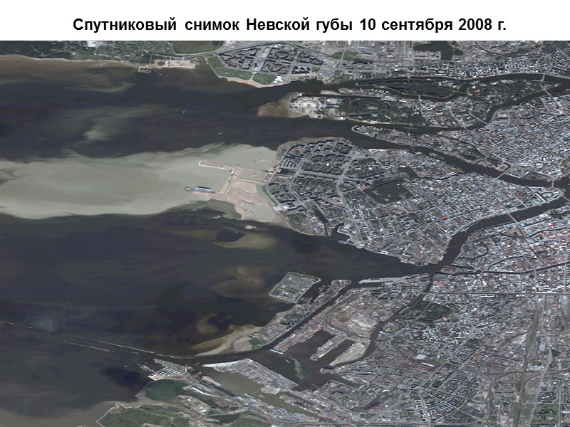 Спутниковый снимок Невской губы 10 сентября 2008 г.